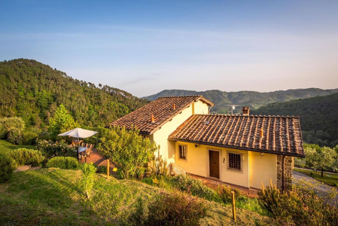 La Pianella Farmhouse Λούκα Εξωτερικό φωτογραφία